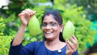 ഇത്രയും നാൾ മാങ്ങ കിട്ടിയിട്ട് ഈയൊരു ട്രിക്ക് തോന്നിയില്ലല്ലോ💯👌 | Angamali Manga Curry