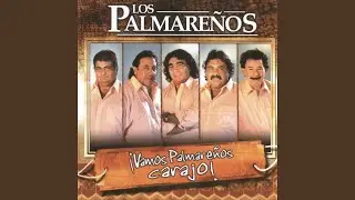 Por Culpa De Ella, Soy Un Perdido