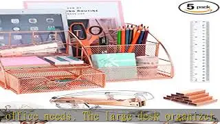 Famassi Rose Gold Desk Organizers and Accessories Office Supplies Set Metal Mesh Organizer with Sta