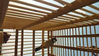 ندهات سيحان طور المشروع الاصلي