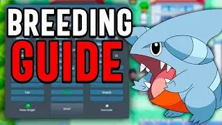 PokeMMO: Beginners Guide to Breeding