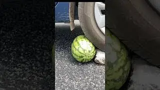 Crushing coke tins and watermelon under car. Bommalu #coke #coketins #crushing #watermelon  #bommalu