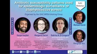 Antibiotic susceptibility patterns used for epidemiologic surveillance of Staphylococcus aureus