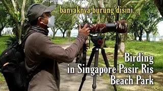 Jom Memburung Di Singapore Pasir Ris Park & Jalan&sup2; Santai Di Pantainya | Sabahan Di Singapore
