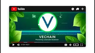 Discover Tomorrow, Today: VeChain's Testnet DAO Guarantees Equal Mainnet Token Value