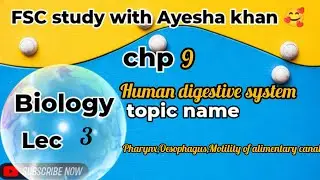 PECTAA class 11 biology chp 9 human digestive system Lec 3 pharynx to  motility of alimentary canal 