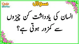50+ Amazing Urdu GK Questions | Paheliyan In Hindi | Islamic Quiz Question In Urdu #gk 