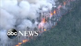 Thousands of acres burned in southern New Jersey wildfire
