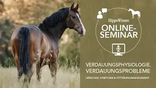 HippoWissen Fütterungsseminar: Verdauungsprobleme beim Pferd