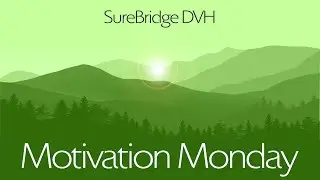 SureBridge DVH