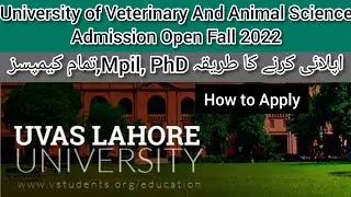 University of Veterinary and Animal Sciences UVAS Lahore MPhil PhD Admissions Fall 2022|How To Apply