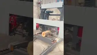 horizontal band sawmill #machine #sawmillfactory