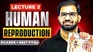Human Reproduction | Lecture-3 | Gametogenesis | Spermatogenesis  | CBSE | NEET