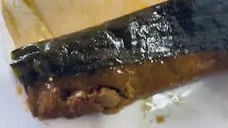 WHATS COOKING CHICAGO PASTELES QUICK FIX SEASON 3 EPISODE 6