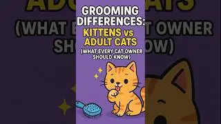 Grooming Differences: Kittens vs Adult Cats (What Every Cat Owner Should Know)