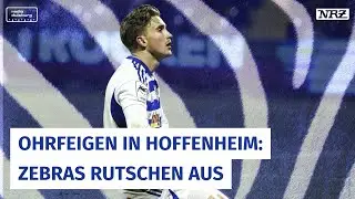 MSV Duisburg: Ohrfeigen im Gefrierschrank - Zebras gehen in Hoffenheim unter