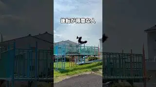 タイプ別で見る遊具の降り方👀