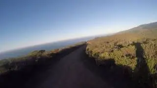 TNF50