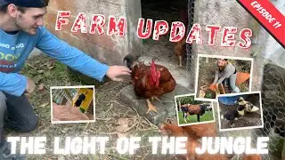 FARM UPDATES from Buscher's Farm - Episode 11