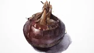 Watercolor painting a water chestnut