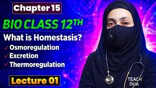 Lecture No 01 | Concept of Homeostasis | Class 12 Biology | Chapter 15 | Urdu Hindi | By Teach Dua