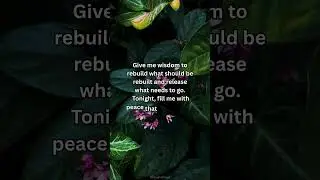 🌙 Night Prayer for Healing After Betrayal and Broken Trust | Light For The Soul 🙏
