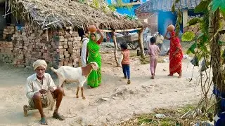The Most Peaceful Morning in an Indian Village | The Cinematic & Relaxing Vibe | Indian Villages