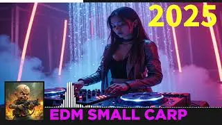 The Hidden Gems of EDM | Burning Man [Best Set Electronic Music of 2025 Mix]