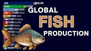 Countries With Highest Fish Production 1961-2025