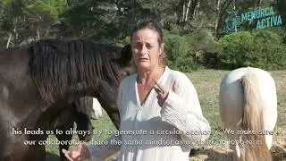 Cavalls Son &Agrave;ngel (english subtitles)