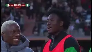 Nigeria vs Algeria 2-0 Highlights | AFCON Goals, Match Highlights##
