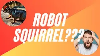 The Unexpected Companion: Betty and Her Robot Squirrel
