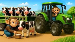 Fresh Milk Harvest, Hardworking Monkey Farmer Transports Cows & Milks Them - Cobby Monkey