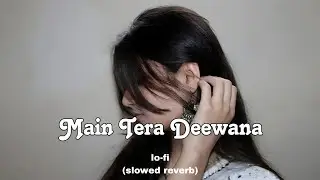 Main Tera Deewana Slowed Reverb | Romantic Hindi Lofi Songs Lofichill | sad song | lo-fi filim Songs