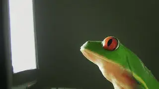 Screen/Monitor Too Bright