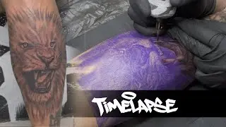 TATTOO TIMELAPSE | REALISTIC LION | JJ INK