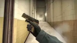 P2000 Coach Class - Factory New - CS:GO Skin Showcase