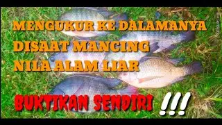 TIPS