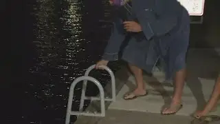 New swimming ladders at Duckworth Dock