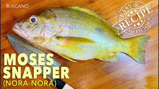 CLEAN, FILLET, & COOK | BREADED MOSES SNAPPER (NORA-NORA) FILLET WITH SAUCE & VEGE