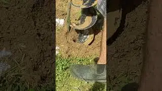 Hole Digging Done Right!