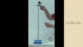 class 11 _Experiment_To find the effective length of second's pendulum.