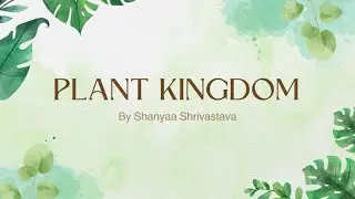 PLANT KINGDOM---GYMNOSPERMAE, ANGIOSPERMAE||NCERT BASED NEET REVISION SERIES|| MUST WATCH!!!!