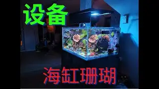 养好一个海缸最主要的就是过滤系统 - 我的50加仑海缸配置