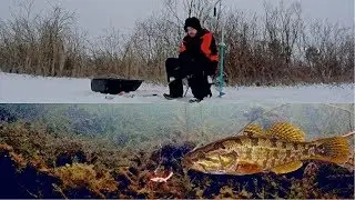Ice Fishing for RUSSIAN BASS 