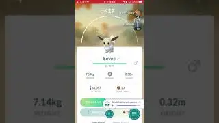 Shiny eevee in Pok&eacute;mon go