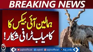 Lower Chitral Trophy Hunting | Himalayan Ibex 43.5 Inch Horn | Wildlife Conservation