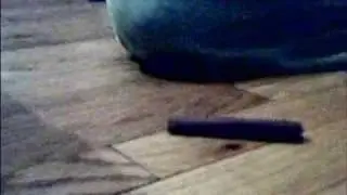 Clay adventure