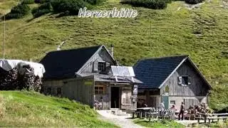F&ouml;lzalm   F&ouml;lzstein