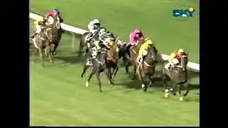 Moonee Valley Night 7 Races, четверг, 14 февраля 2002 г.